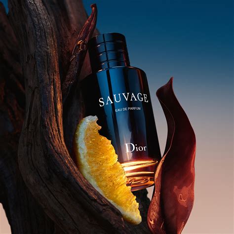 dior sauvage femme|fragrances like Dior Sauvage.